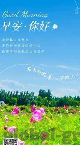 .310足球比分-揭秘310足球比分背后的数据密码，如何用数字解读绿茵场的激情与悬念？