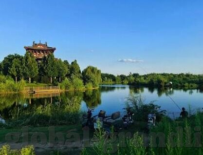 实时直播足球比分-实时直播足球比分，科技赋能下的体育狂欢新体验